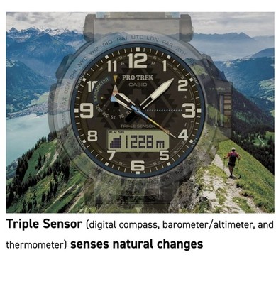 mgysgt　プロトレック PENDLETON PRG-601PE-5JR PRG601PE-5 | PRO TREK PRG-600 Series Gray | CASIO