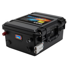 WannaPow 12V 200Ah LiFePO4 Battery BMS Deep C...