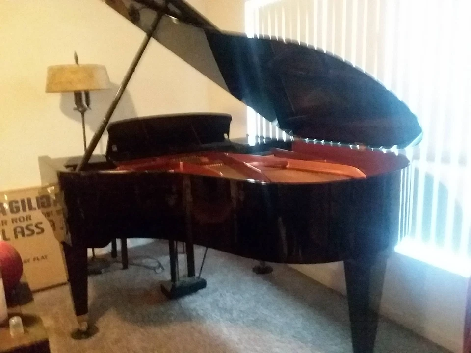 Piano de cola Bosendorfer modelo 170 5'8" Foto 2 de 4