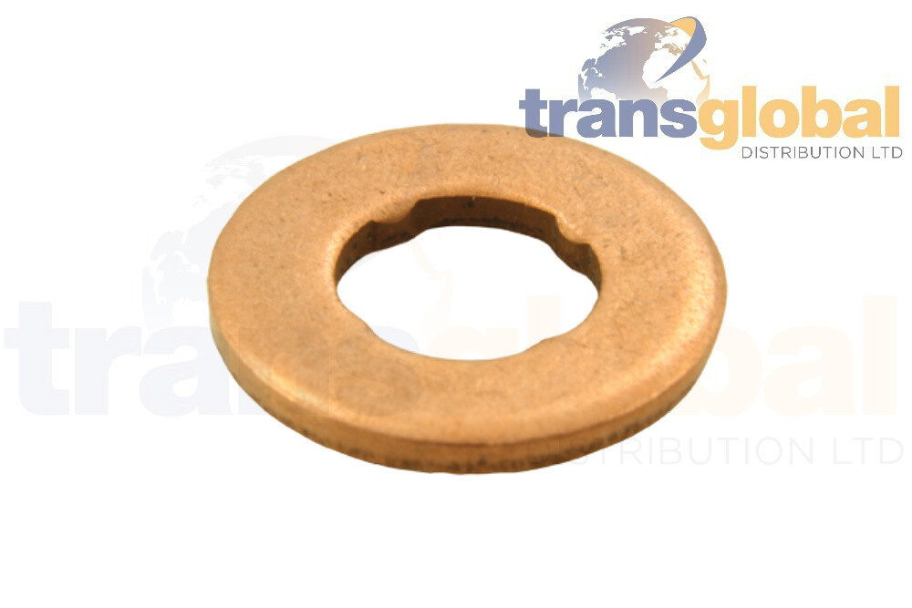Bearmach Land Rover Discovery 3 & RR Sport 2.7 Tdv6 Fuel Injector 