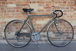 raleigh reynolds 531