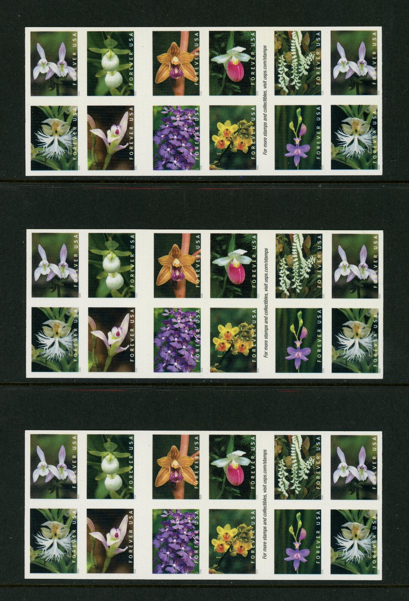 Wild Orchid［カセット］ 71JSzs7GEqL._UF894,1000_QL80_.jpg