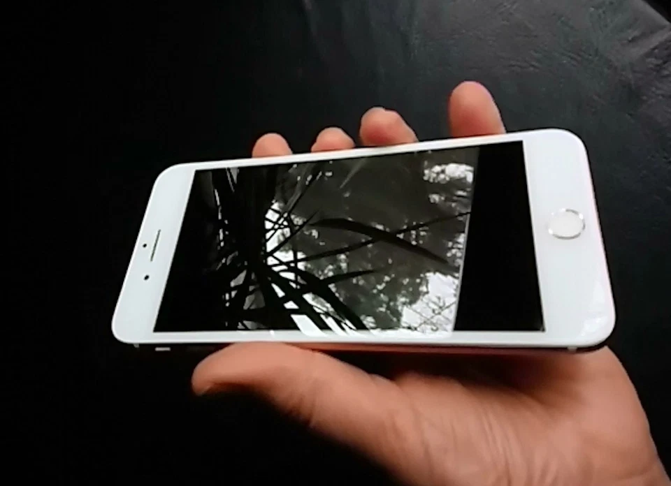 Apple iPhone 8 PLUS  256 GB  GOLD ( Oro Rosa )  Grado A+++  Batteria 100% - Immagine 2 di 4