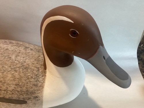 Vintage Carved Wood Decoy Long Tail Duck Signed Harry Shourds - Picture 2 of 11
