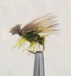 olive caddis fly pattern