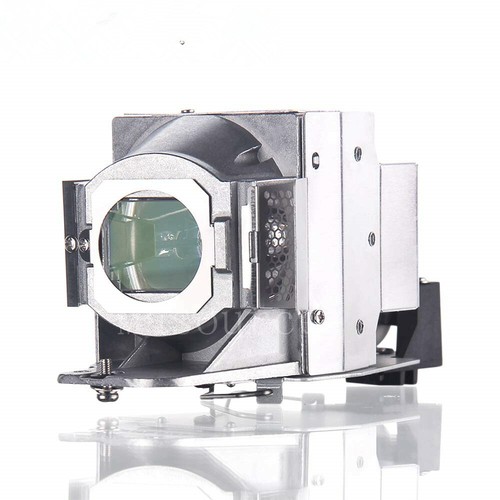 Viking Original 5J.J7L05.001 Lampe intérieure pour BENQ W1070,W1080ST