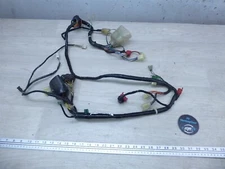 2002 Honda NSS250 Reflex H1622) main wiring harness
