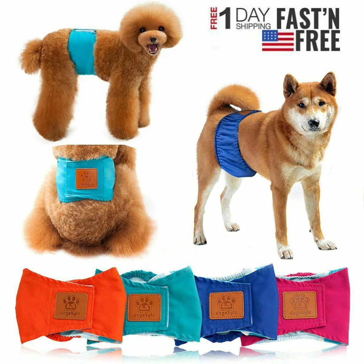 Do Dog Diapers Help Potty Train