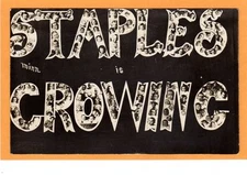 Surreal Real Photo Postcard RPPC - Photomontage of Babies Staples MN is Growing