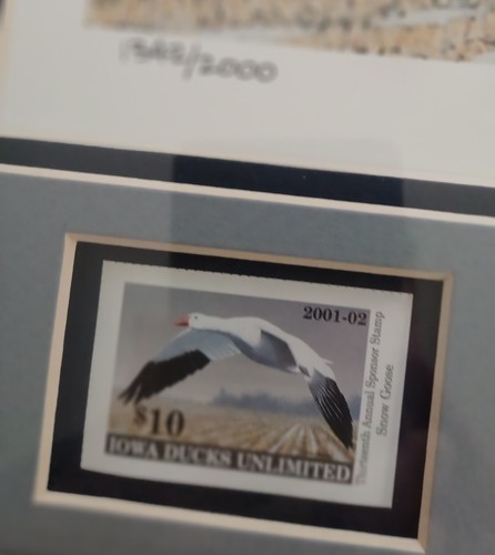 Limited edition signed Iowa Ducks Unlimited  2001 -2022 Print BRAND NEW.  - Picture 13 of 19