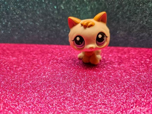Littlest Pet Shop LPS Authentic #47 & #134 Kätzchen Katzen Badewanne Spa Acc Lot - Bild 6 von 13