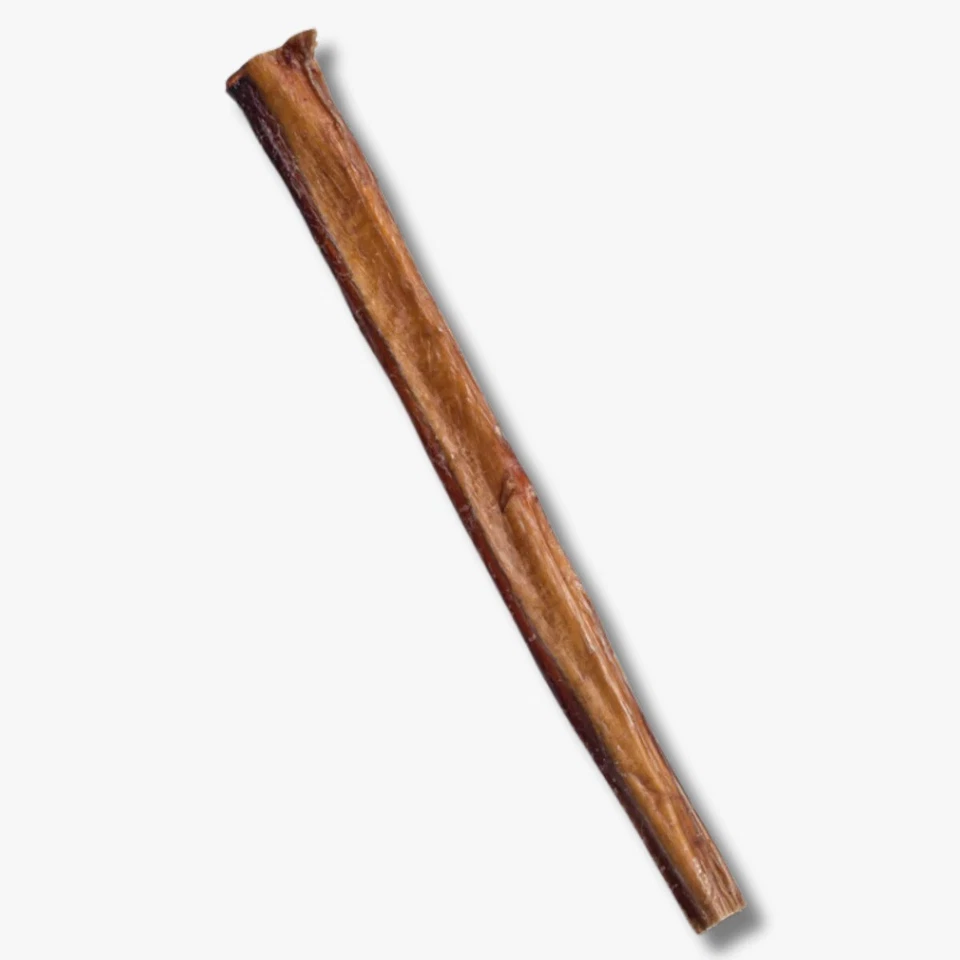 Paquete de 10 palos Jumbo Bully de 12" para perros golosinas naturales extra gruesas sin olores Foto 2 de 2