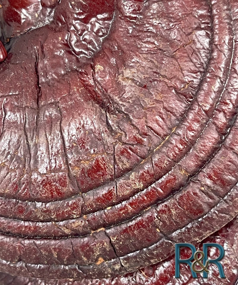 Red Reishi WHOLE Mushroom Organic (Ganoderma Lucidum) Ling Zhi Free Ship + USA - Image 2 of 2