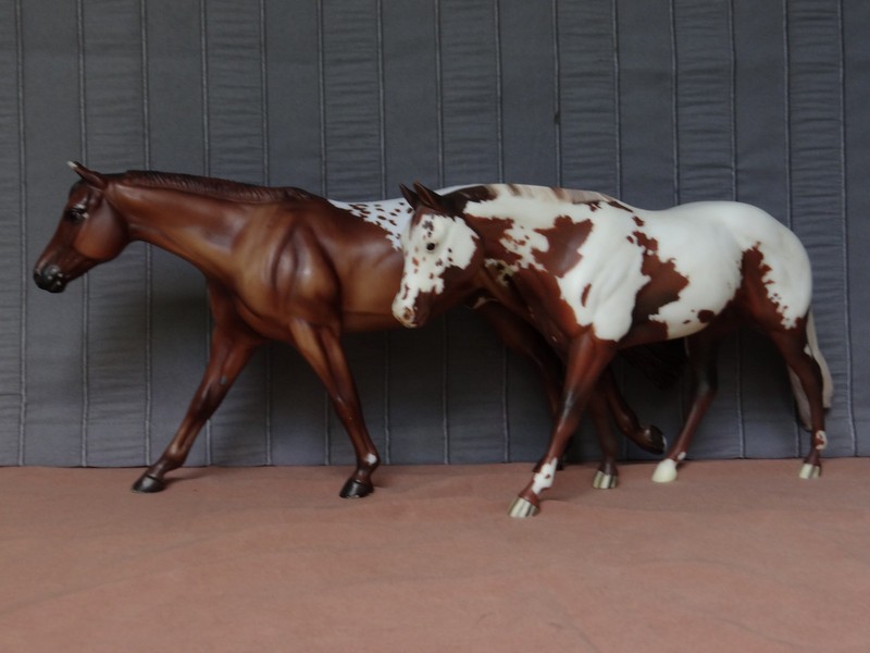 Breyer Trad. Appaloosa Lot "Chocolately" and Hand-Etched Fewspot Roan Stallion.