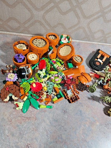 2 Broken Down Lego Sets - 1 Cactus Set - 1 Fall Centerpiece - See Description! - Picture 7 of 7