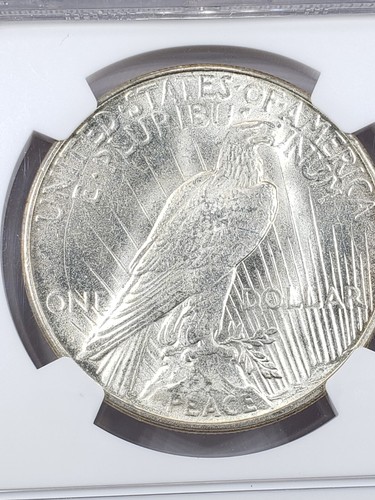 1923-D Peace Dollar NGC MS61 - Picture 3 of 4