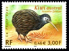 TIMBRE FRANCE NEUF 2000 kiwi austral nouvelle zélande y&t 3360