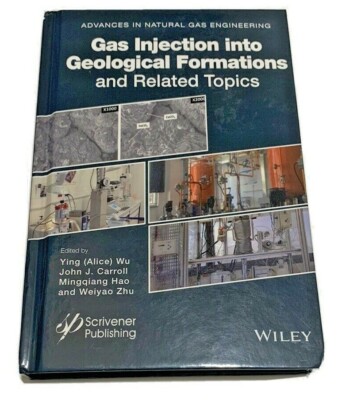 Wu Gas Injection into Geological Formations and Related Topics Advances in Gas