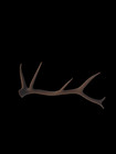 3d Printed Montana Elk Shed Replica Brown #1000# — photo 1