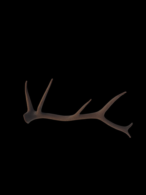 3d Printed Montana Elk Shed Replica Brown #1000#