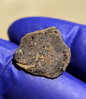 NWA 2907 Ungrouped Achondrite Meteorite 1.544g Part Slice Rare COA — photo 5