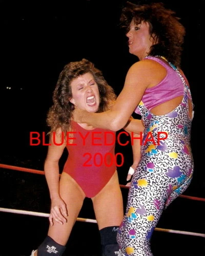 SHERRI MARTEL VS ROCKIN ROBIN WRESTLER 8 X 10 WRESTLING PHOTO WWF AWA WCW