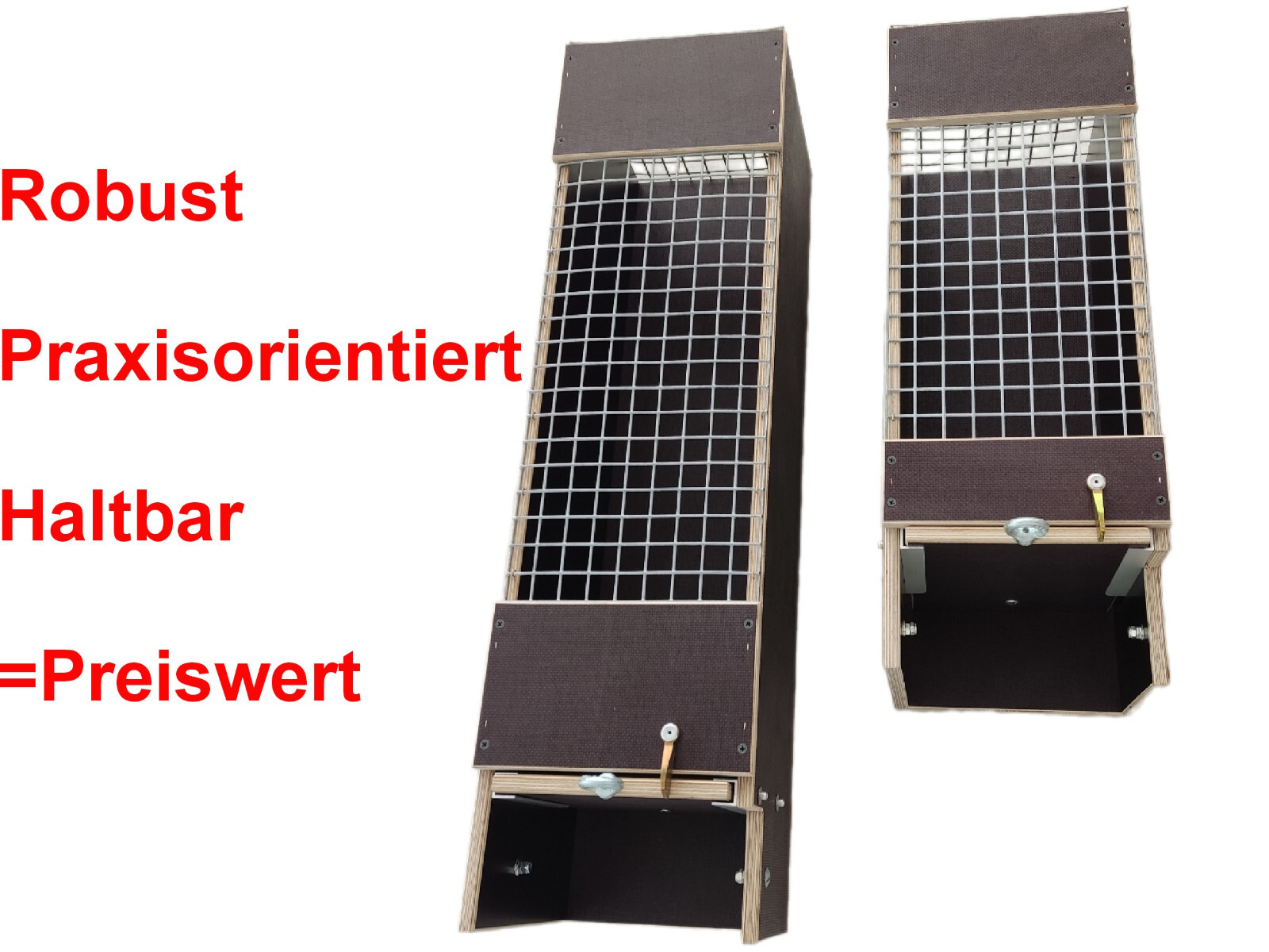 Bild 7 von 7