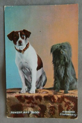 TOWZER AND JACKY VINTAGE HUNDE POSTKARTE  