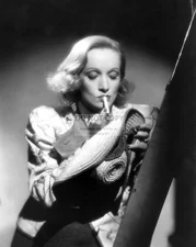MARLENE DIETRICH LEGENDARY ACTRESS - 8X10 PUBLICITY PHOTO (DD-168)