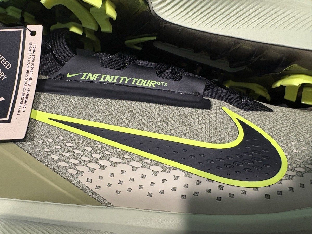 Nike Infinity Tour Next% 2 GTX GORE-TEX Golf Shoes FV4897-300 Mens