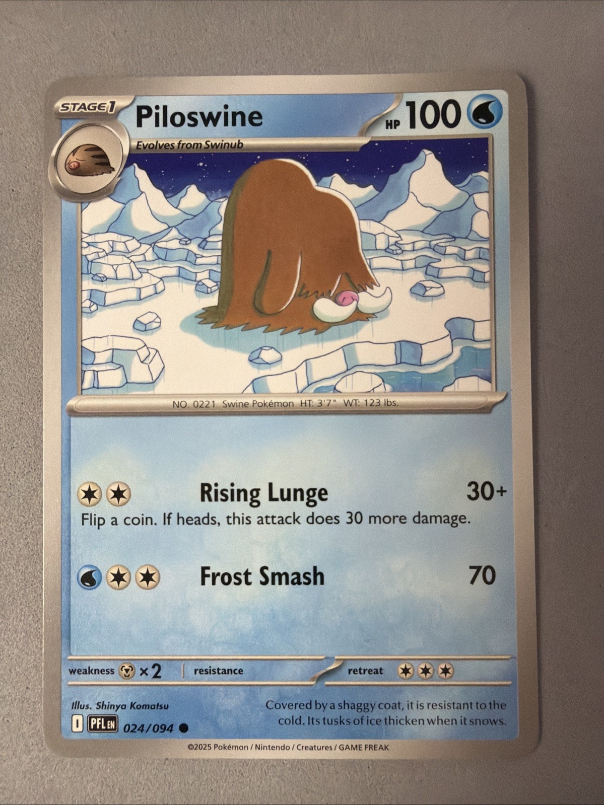 Pokemon TCG * Phantasmal Flames * 24/94 Piloswine Common * FRESH PK