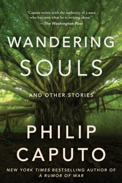 Wandering Souls And Other Stories by Philip Caputo (Hardback Book)