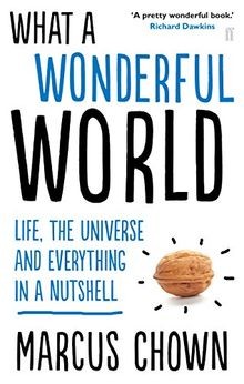 What a Wonderful World: One Mans Attempt to Explain the... | Buch | Zustand gut