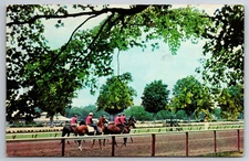 Vintage Postcard NY Saratogo Horse Racing Track Chrome