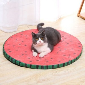 watermelon cooling mat