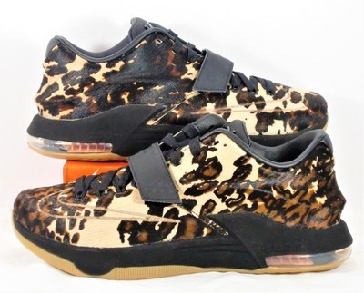 kd 7 longhorn state