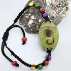 Scorpion Insect Bracelet in Resin Specimen Collection
