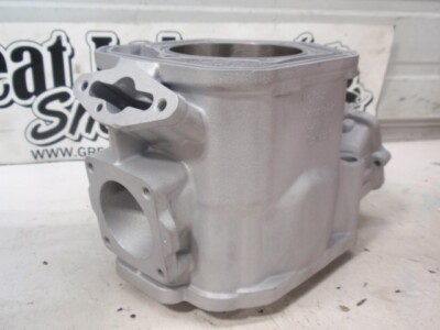 SkiDoo 700 923695 Cylinder Twin Snowmobile Engine Reman. MXZ $75 Core Refund