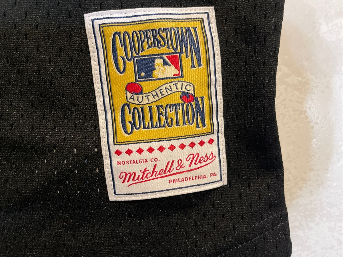 MITCHELL & NESS Tampa Bay Devil Rays Wade Boggs Practice