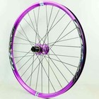 Foto 11 di 24