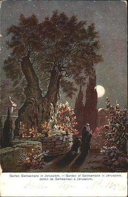 Jerusalem Yerushalayim Jerusalem Garten Gethsemane Garden Jardin Kuenstler F. Pe
