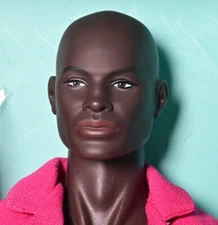 INTEGRITY TOYS ART OF MANLINESS DARIUS REID  NRFB