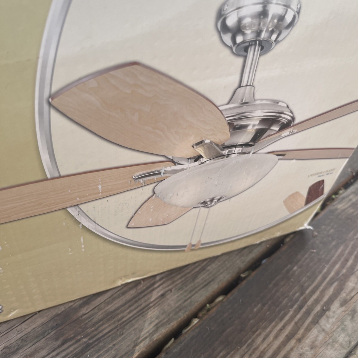 Turn Of The Century Ceiling Fans Reviews Shelly Lighting