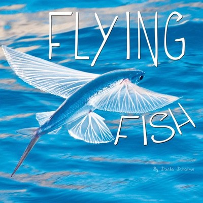 Flying Fish (Ocean Animals)