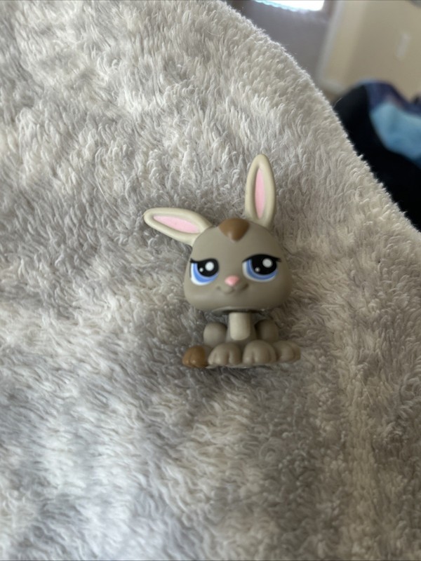Littlest Pet Shop Bunny #1333 2009 Hasbro LPS Figure w/ Accessories Retired Toy