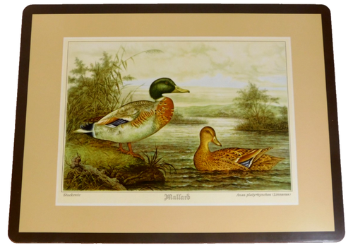 Pimpernel Wild Game Birds Place Mats 12" X 9" Set of 4 Vintage 60s - Picture 4 of 12