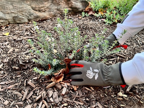 Morewell- Daisy Rose Embroidery Garden Gloves with Touchscreen Function - Picture 30 of 59