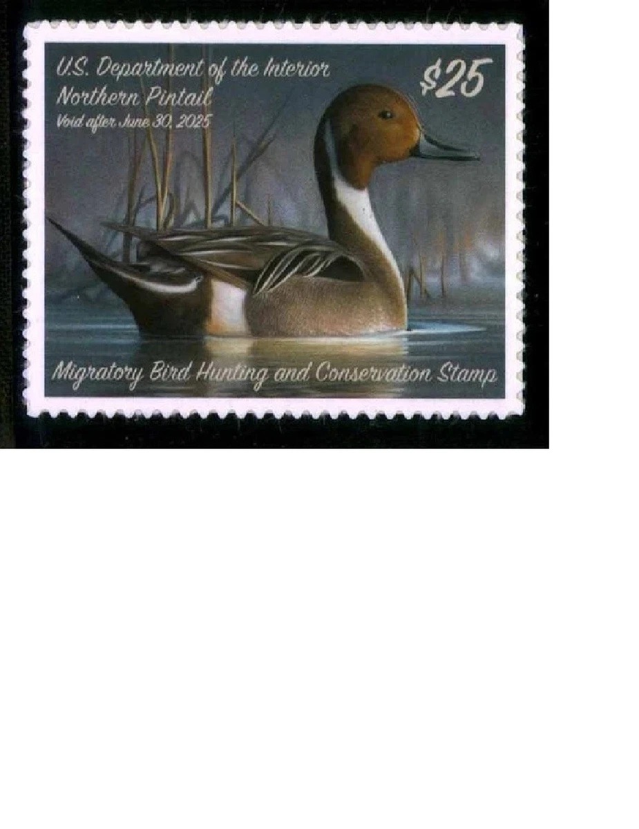 XF (Extremely Fine) US Back of Book Stamps for sale | eBay