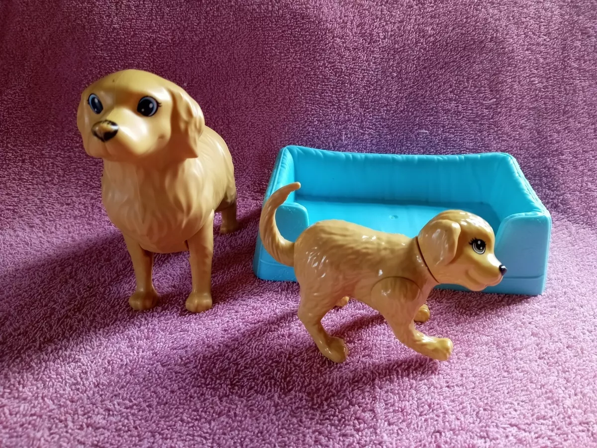 Barbie Chienne Golden Retriever naissance des 3 chiots - - Label