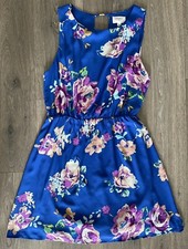 Everly-Sleeveless Floral Print Dress Blue Women's Sz Large Summer Spring Easter